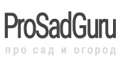 prosadguru.ru